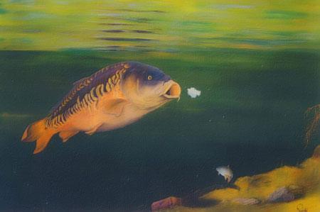 fish :) - remko1a.jpg